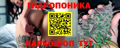 прущие грибы Обь