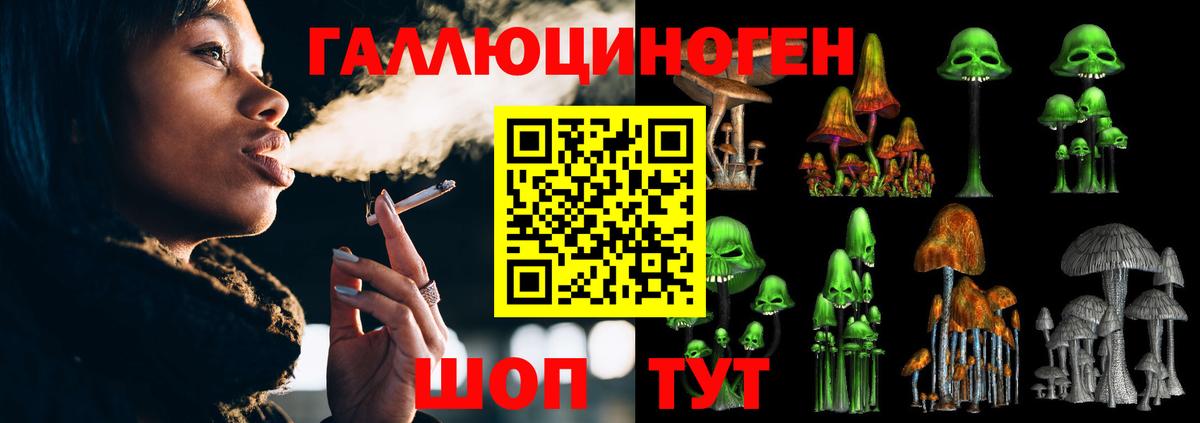Бахчисарай  Псилоцибиновые грибы Magic Shrooms  Вход с VPN 